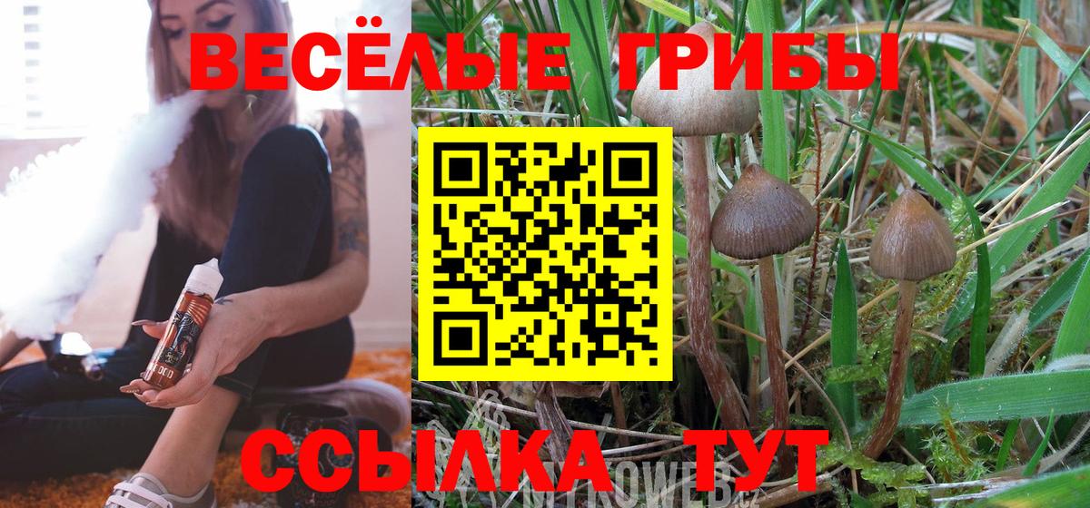 Урюпинск  Псилоцибиновые грибы MAGIC MUSHROOMS  Вход с VPN 