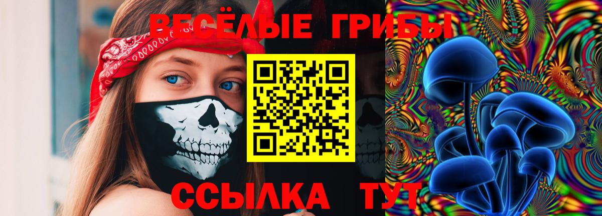 Псилоцибиновые грибы Psilocybine cubensis Урюпинск